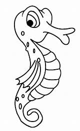 Seahorse Coloring Pages Printable Outline Drawing Color Cartoon Sheet Kids Template Simple Fish Getdrawings Cool2bkids sketch template