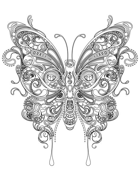 butterfly coloring pages  adults  coloring pages  kids