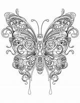 Butterfly Coloring Pages Adult Adults Kids sketch template
