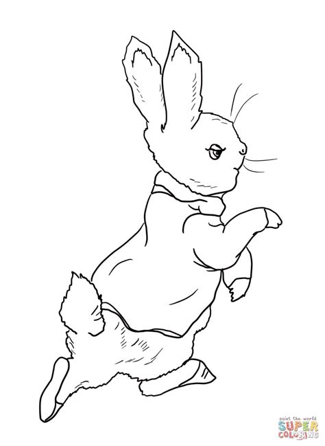 printable peter rabbit coloring pages  printable