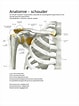 Afbeeldingsresultaten voor kamster (soort) Anatomie. Grootte: 79 x 106. Bron: www.studeersnel.nl