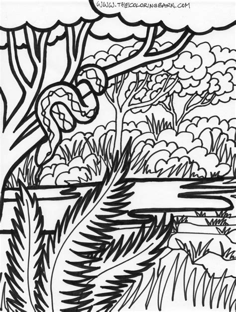 jungle coloring sheets coloring page jungle scene coloring page