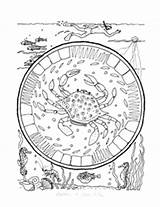 Pottery Coloring Lets Color Book Some Swimmer Crab Plate sketch template
