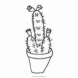 Kaktus sketch template