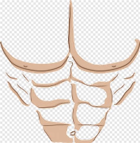 abs musculos  shirt roblox transparent png   png