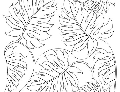 plant coloring pages  kids  getdrawings