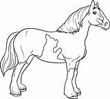Colorear Caballo Cavalos Dibujos Gratuitamente Caballos Coloring Horses Dipacol Guardado Sponsored sketch template