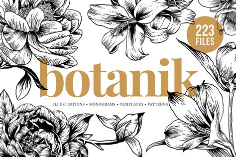 botanical illustration bundle