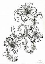 Lily Drawing Outline Tiger Tattoo Drawings Sleeve Flower Tattoos Water Lillies Lilly Designs Sketch Stargazer Lilies Flowers Quest Simple Lilys sketch template