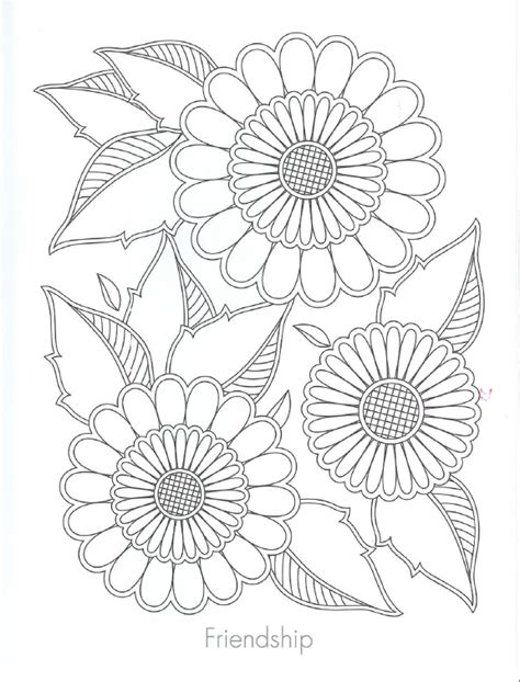 health coloring book  adults    health
