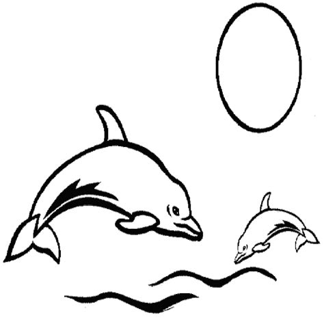 coloring pages  dolphins