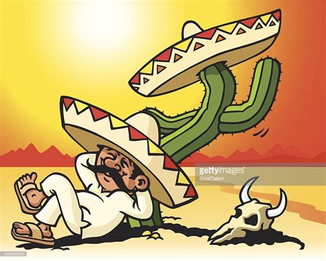 mexican  sleeping   cactus  check