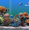 Image result for Vista Screensaver Fish Tank. Size: 97 x 100. Source: tewsmood.weebly.com