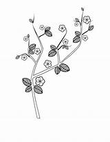 Cherry Blossom Coloring Pages Branch Tree Colouring Clipart Line Printable Library Clipartbest Popular Getcolorings Coloringhome Color sketch template