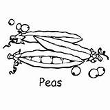 Peas Coloring Pages Kids Toy Momjunction Story Template Colouring sketch template