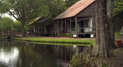 louisiana bayou explore  orleans bayou country visit  usa