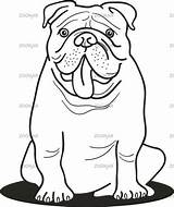 Bulldog Coloring Pages English Drawing Camera Line Sheets Easy Adult Dog Kids Printable Georgia Drawings Colouring Book Cctv Outline Puppy sketch template