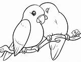 Mewarnai Burung Hewan Sketsa Diwarnai Binatang Peliharaan Untuk Lovebirds Jerapah Populer Fugle Putra Putri Darat Avez Katak Dragoart Dyr Tegning sketch template