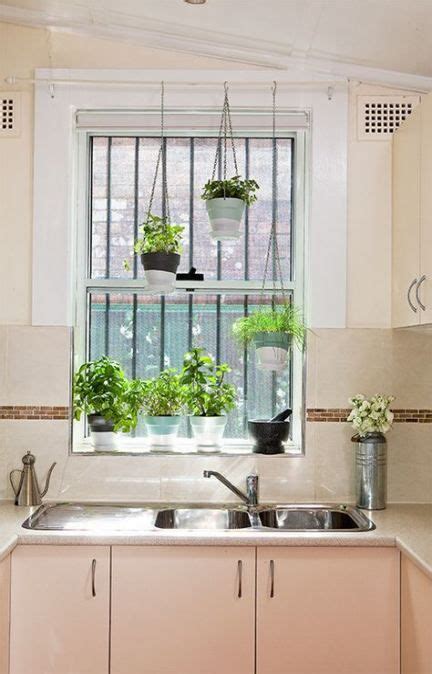 kitchen window  sink plants herbs   ideas herb garden  kitchen kitchen plants