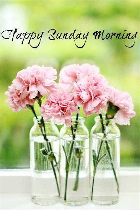 happy sunday morning pictures   images  facebook tumblr pinterest  twitter