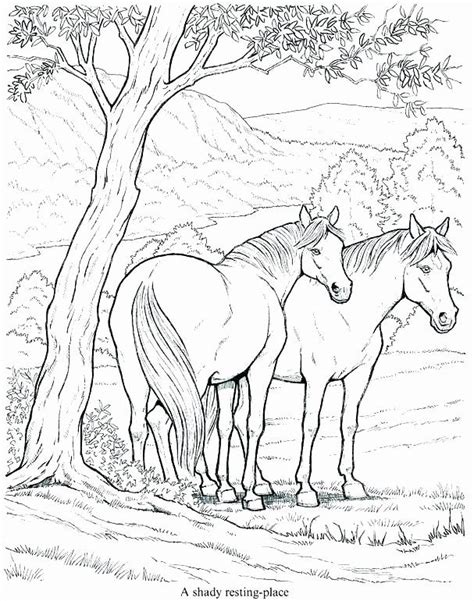 horse coloring page awesome realistic horse coloring pages