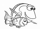 Nemo Ausmalbilder Cool2bkids Dory Findet Marlin sketch template