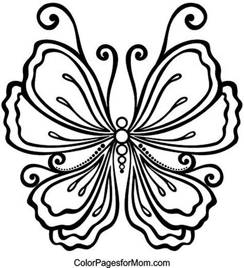 butterfly coloring page  yarn projects pinterest butterfly