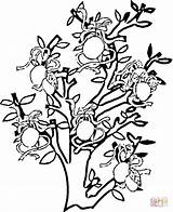 Limoeiro Pear Orange Limoni Zitronenbaum Ausmalbild Aprikosenbaum Albero Drzewko Cytrynowe Shrubbery Kolorowanka Arance Tudodesenhos Supercoloring Kategorii sketch template