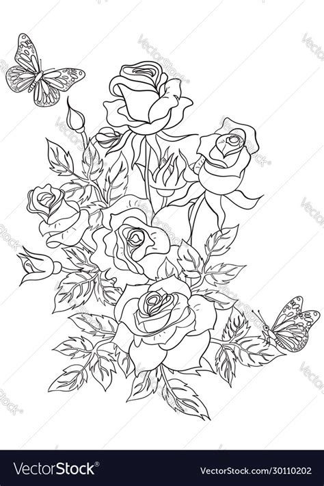 coloring page  roses  butterflies vector image
