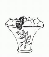 Fruit Coloring Basket Comments Pages Baskets sketch template