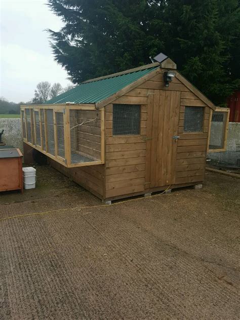 shed  months   dungannon county tyrone gumtree