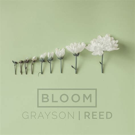 graysonreed bloom single