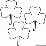 Coloring St Clover Leaf Three Patrick Clovers Pages Patricks Shamrock Printable Trinity Saint Print Clove Clipart Color Sheets Bigactivities Clip sketch template