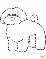 Bichon Divertenti Frise Poodle Simpatici Cani Supercoloring Disegnare sketch template