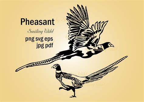 bird pheasant clipart vector graphic art artwork pheasant svg etsy