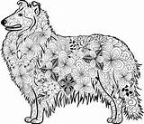Mandalas Ausdrucken Hund Collie Malvorlage Malvorlagen Perros Mops Welpen Kostenloses Dalmatiner Malen Dackel Kostenlosen Tegninger Welpe Animales sketch template