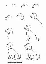 Hund Hunde Malt Ausdrucken Malvorlagen Schablonen Hundekopf Zeichne Hundezeichnung Zeichnungen Bleistift Ausmalen sketch template