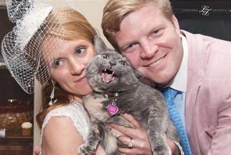 cat steals the show in couple s wedding photos life with cats