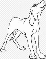 Coon Coonhound Redbone sketch template