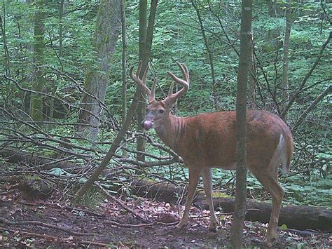 day hiking trails activity  hiking kids signs  wildlife