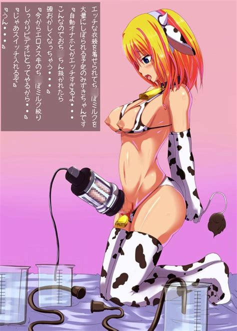 Shemale Cow Girls 26 Futa Cow Girl Pics Luscious Hentai Manga And Porn