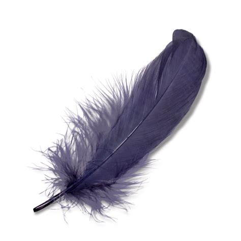meaning  symbolism   word feather