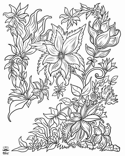 coloring book flowers  butterflies    images flower