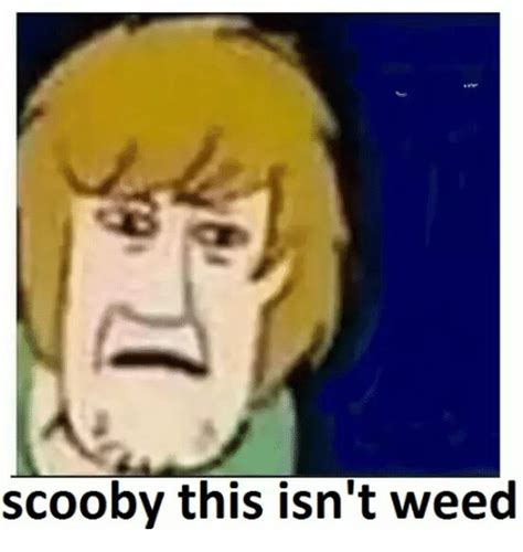 Scooby This Isn T Weed Weed Meme On Me Me