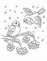 Winter Coloring Pages Printable Bird Birds Kids Snow Sheets Homemade Gifts Easy Made sketch template
