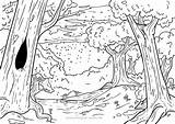 Wald Regen Malvorlage Ausmalbild Ausmalen Landschaften Zeichnen sketch template
