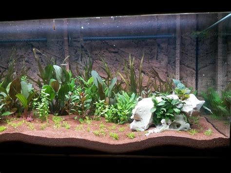 artificial aquarium plants   reviews top