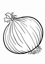 Coloring Pages Onion sketch template