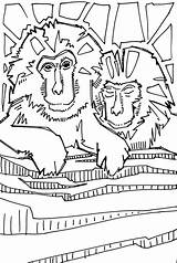 Macaque Designlooter Gwenn Seemel sketch template