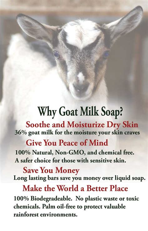 Goat Milk Soap Samples Weddings Party Favors Guest Soaps